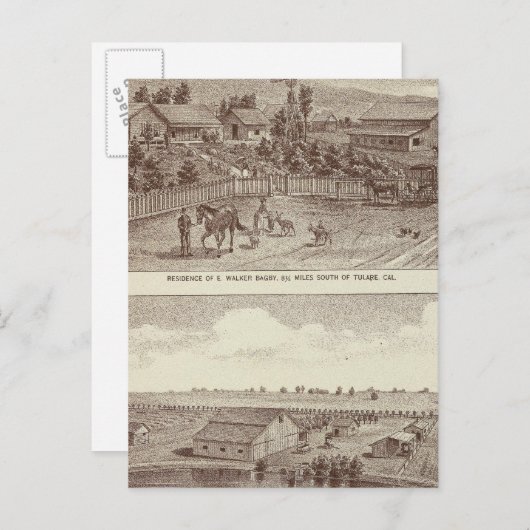 Carte Postale Lemoore, Armona ranches 2 (Devant / Derrière)