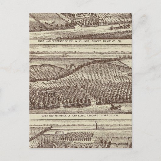 Carte Postale Lemoore, ranchs Armona (Devant)