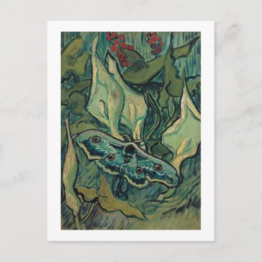 Carte Postale L'empereur Moth, Vincent van Gogh (Devant)