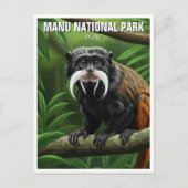 Carte Postale L'empereur Tamarin dans le Parc National de Manu P (Devant)