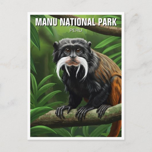 Carte Postale L'empereur Tamarin dans le Parc National de Manu P (Devant)