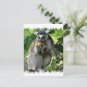 Carte postale Lemur (Debout devant)