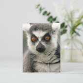 Carte Postale Lemur (Debout devant)