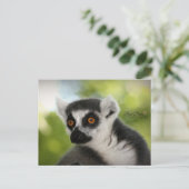 Carte Postale Lemur (Debout devant)