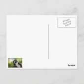Carte Postale Lemur (Dos)