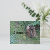 Carte Postale Lemur # 1 (Debout devant)