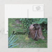 Carte Postale Lemur # 1 (Devant / Derrière)