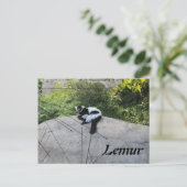 Carte Postale Lemur # 2 (Debout devant)