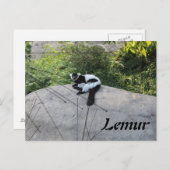 Carte Postale Lemur # 2 (Devant / Derrière)