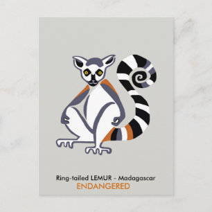 Carte Postale LEMUR à queue cerclée - Animal en voie de disparit