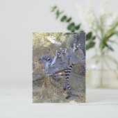 Carte postale Lemur Line (Debout devant)