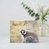 Carte Postale lémurien (Debout devant)