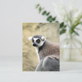 Carte Postale lémurien à queue cerise (Debout devant)
