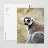 Carte Postale lémurien à queue cerise (Devant / Derrière)