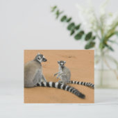 Carte Postale Lémuriens à queue annelée, (Lemur catta), Berenty (Debout devant)