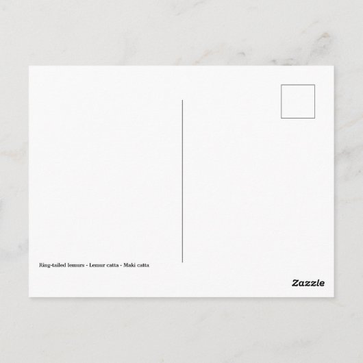 Carte Postale Lémuriens à queue ronde (Dos)