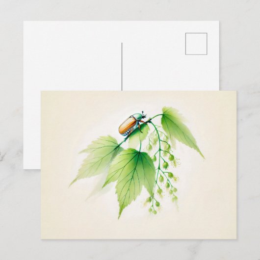 Carte Postale L'encre de Chine peut bourrer sur Linden (Devant / Derrière)