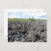 Carte Postale L'enfer dans les îles Grand Cayman (Devant / Derrière)