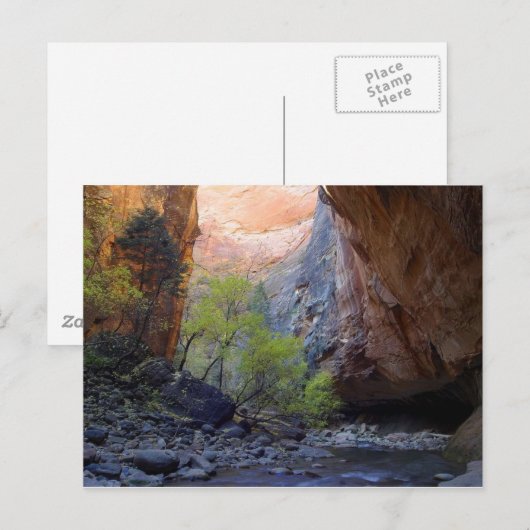 Carte Postale L'Entrée (Devant / Derrière)