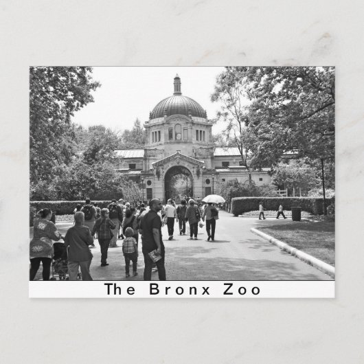 Carte Postale L'entrée du zoo du Bronx (Devant)