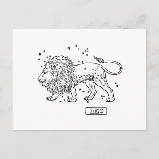 Carte Postale Leo (Devant)