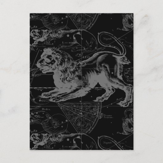 Carte Postale Leo Constellation Hevelius 1690 Décor (Devant)