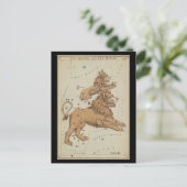 Carte Postale Leo le lion (Debout devant)