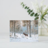 Carte Postale Leodinovich : Un élan dans la forêt (Debout devant)