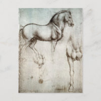 Léonard de Vinci - Étude d'un cheval