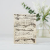 Carte Postale Leonardo da Vinci : Études du bras par le biceps (Debout devant)