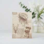 Carte Postale Leonardo da Vinci - Physiologie du cerveau (Debout devant)