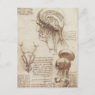 Carte Postale Leonardo da Vinci - Physiologie du cerveau