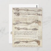 Carte postale Leonardo Limb (Devant / Derrière)