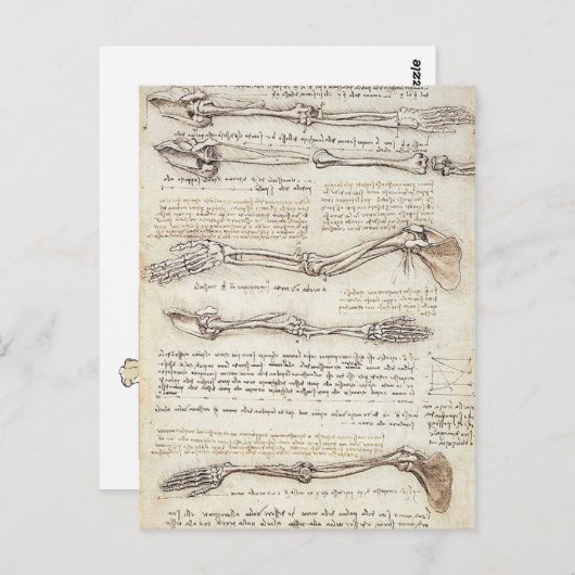 Carte postale Leonardo Limb (Devant / Derrière)