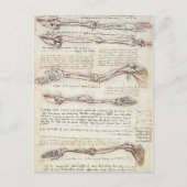 Carte postale Leonardo Limb (Devant)