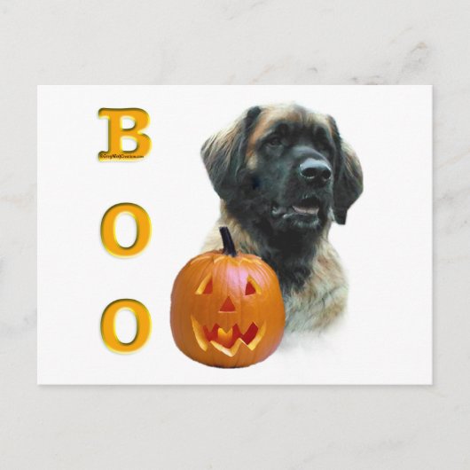 Carte Postale Leonberger Boo (Devant)
