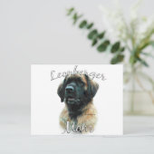 Carte Postale Leonberger Mom 2 (Debout devant)
