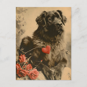 Carte Postale Leonberger Valentine's Day Vintage