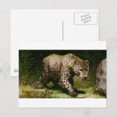 Carte Postale Leopard (Devant / Derrière)