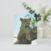 Carte Postale Leopard (Debout devant)