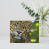 Carte postale Leopard (Debout devant)
