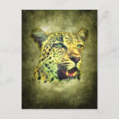 Carte Postale Leopard (Devant)