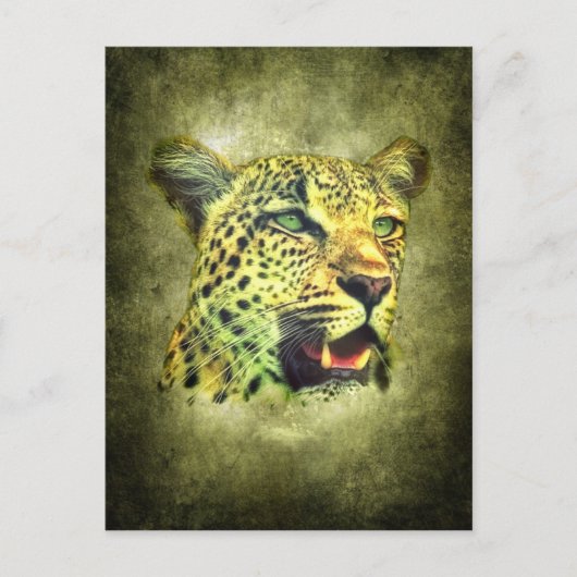Carte Postale Leopard (Devant)