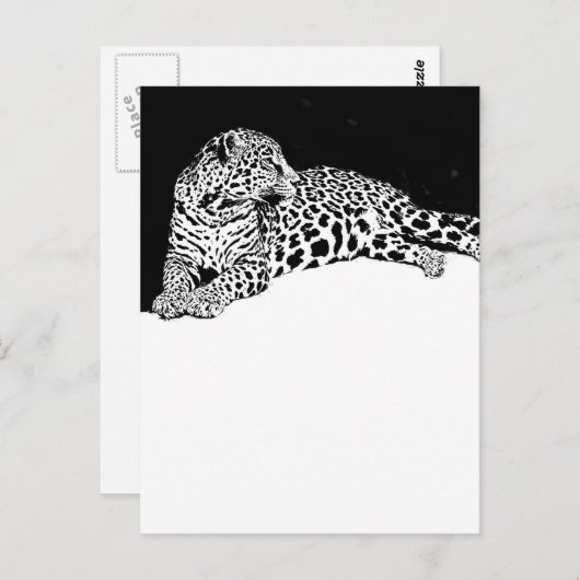 Carte Postale Leopard (Devant / Derrière)