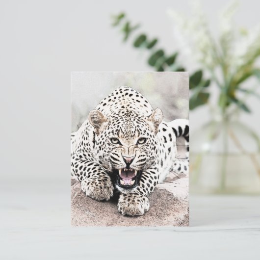 Carte Postale Leopard (Debout devant)