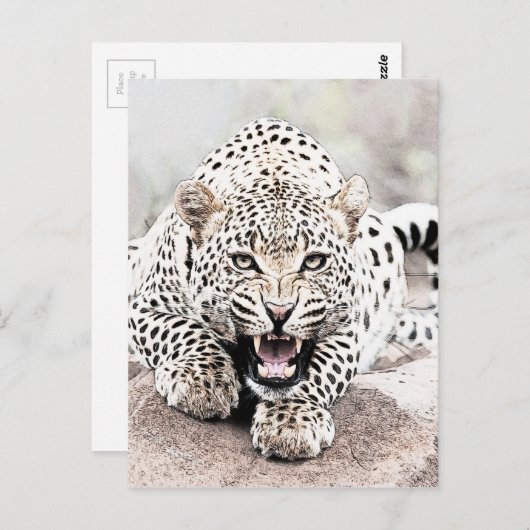 Carte Postale Leopard (Devant / Derrière)