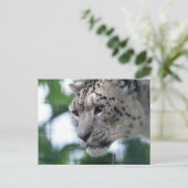 Carte Postale Leopard 003 (Debout devant)