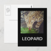 Carte Postale Leopard africain (Devant / Derrière)