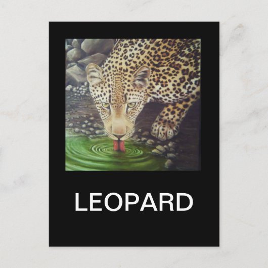 Carte Postale Leopard africain (Devant)