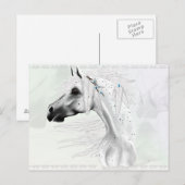 Carte postale Léopard Appy et Plumes Blanches (Devant / Derrière)